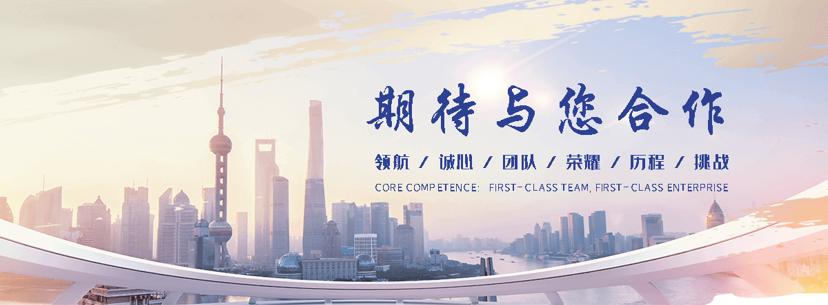 文昌海狮租赁公司